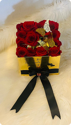 WhatsApp Image 2025-09-20 at 12.40.28 (4)